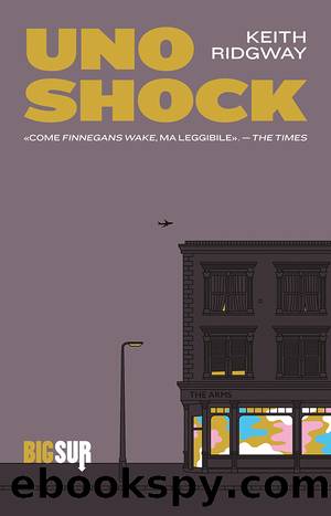 A Shock by Keith Ridgway