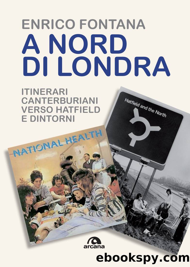 A nord di Londra by Enrico Fontana;