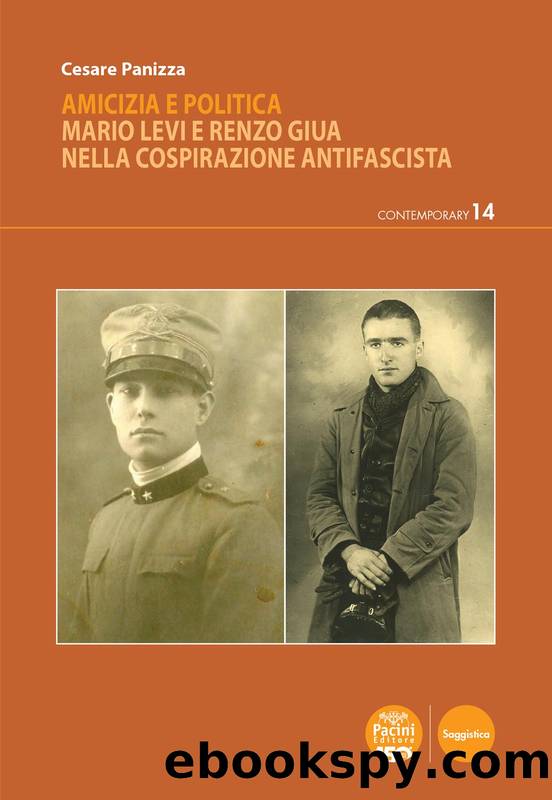 Amicizia e politica by Cesare Panizza