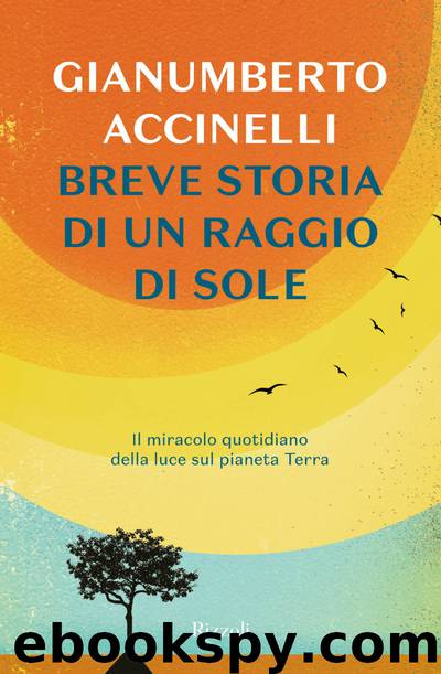 Breve storia di un raggio di sole by Gianumberto Accinelli