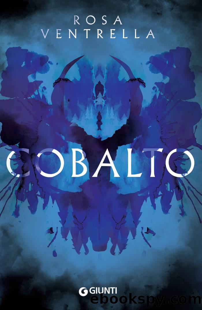 Cobalto by Rosa Ventrella