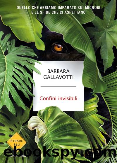 Confini invisibili by Barbara Gallavotti