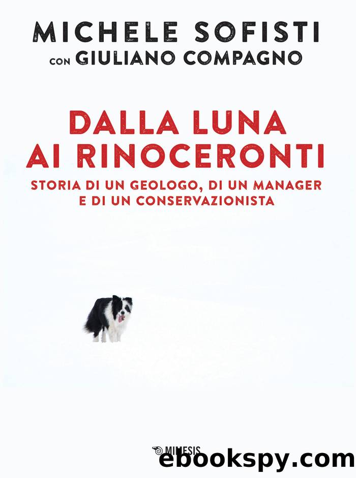 Dalla luna ai rinoceronti by Michele Sofisti