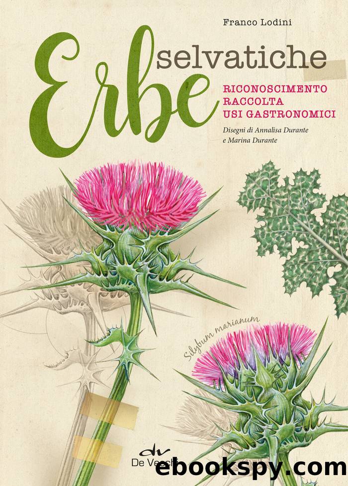 Erbe selvatiche: Riconoscimento, raccolta, usi gastronomici by Franco Lodini