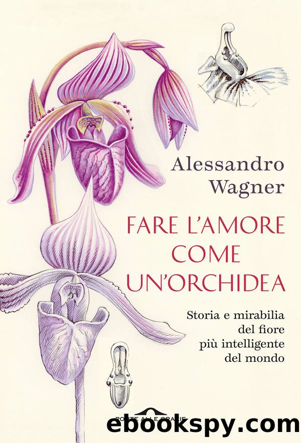 Fare l'amore come un'orchidea by Alessandro Wagner