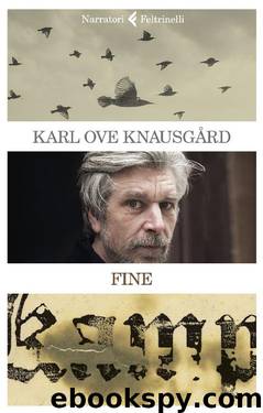 Fine by Knausgard Karl Ove