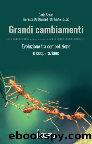 Grandi cambiamenti by unknow