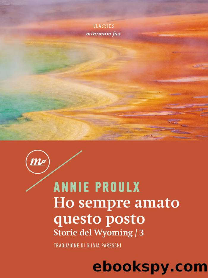 Ho sempre amato questo posto by Annie Proulx