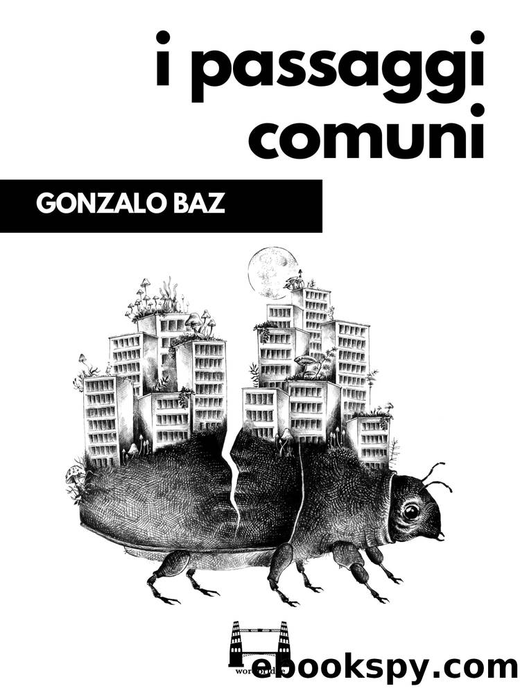 I passaggi comuni by Gonzalo Baz