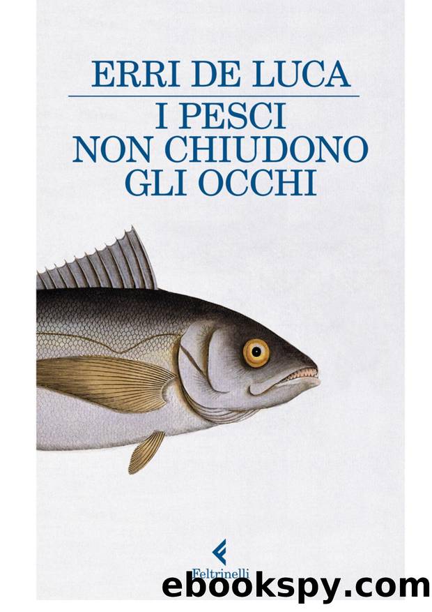 I pesci non chiudono gli occhi by Erri De Luca