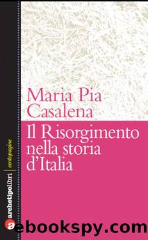 Il Risorgimento nella storia d'Italia by Maria Pia Casalena