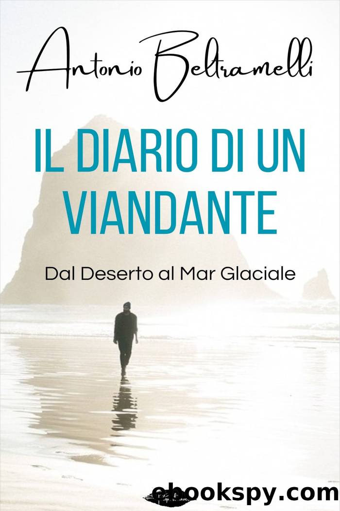 Il diario di un viandante by Antonio Beltramelli