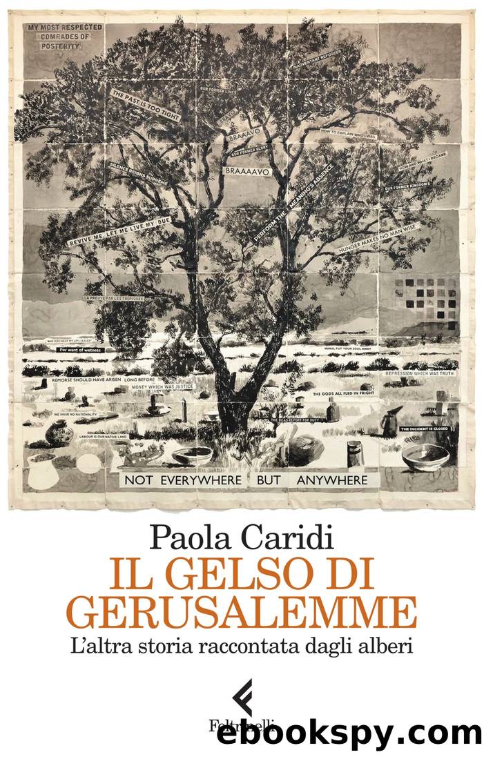 Il gelso di Gerusalemme by Paola Caridi