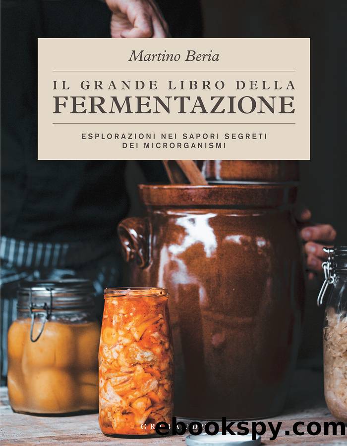 Il grande libro della fermentazione by Martino Beria