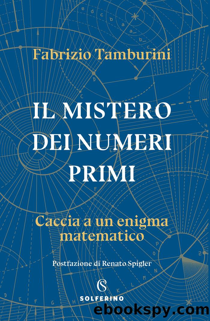 Il mistero dei numeri primi. Caccia a un enigma matematico by Fabrizio Tamburini