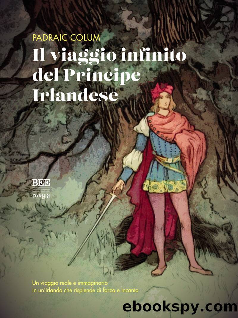 Il viaggio infinito del Principe Irlandese by unknow