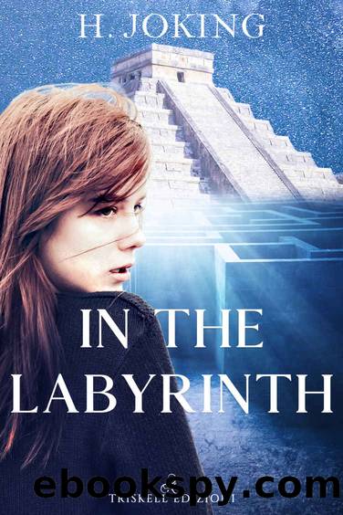 In the labyrinth by H. Joking