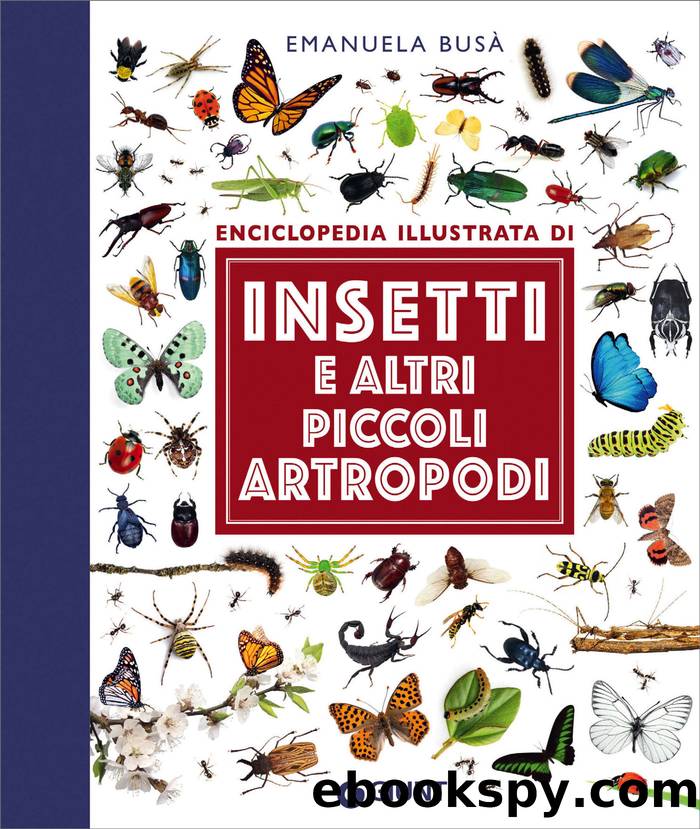 Insetti e altri piccoli artropodi by Emanuela Busà