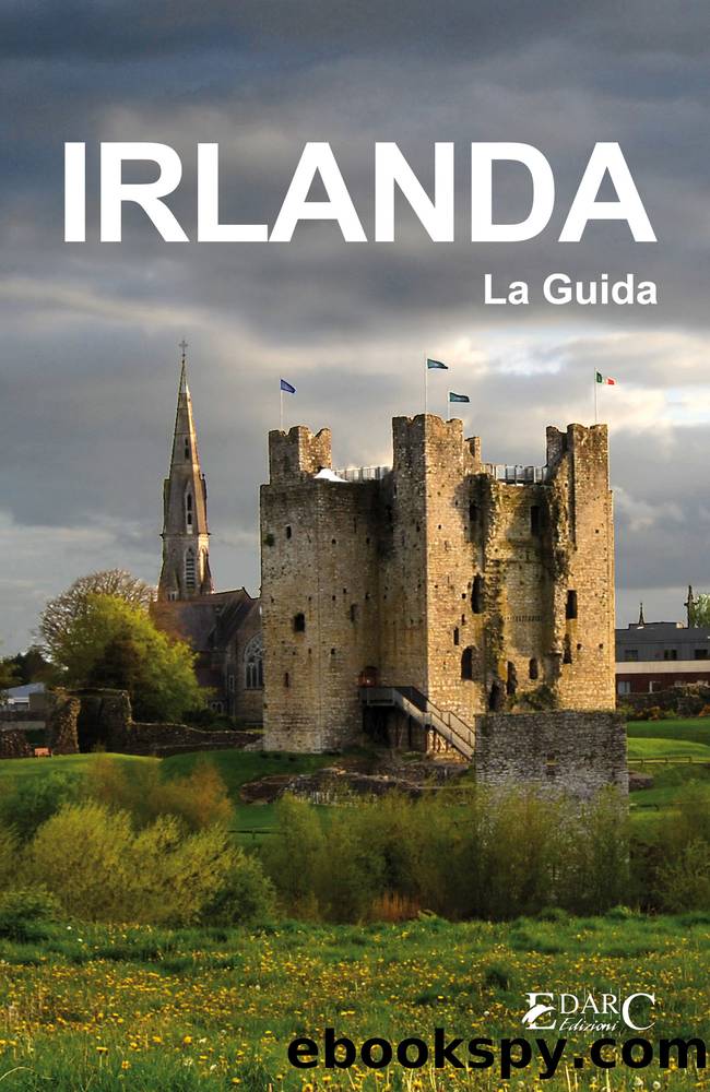 Irlanda. La guida by AA.VV