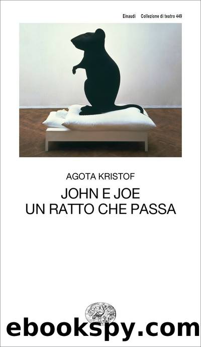 John e Joe. Un ratto che passa by Agota Kristof