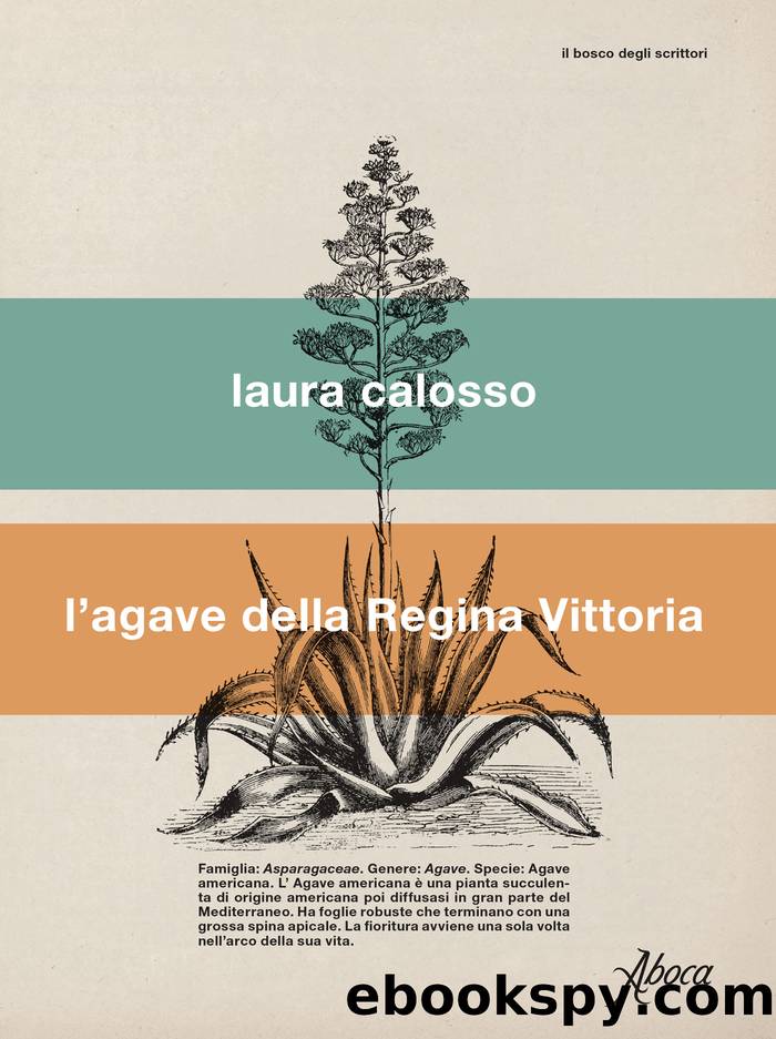 L'agave della Regina Vittoria by Laura Calosso