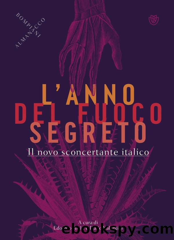 L'anno del fuoco segreto by AA.VV