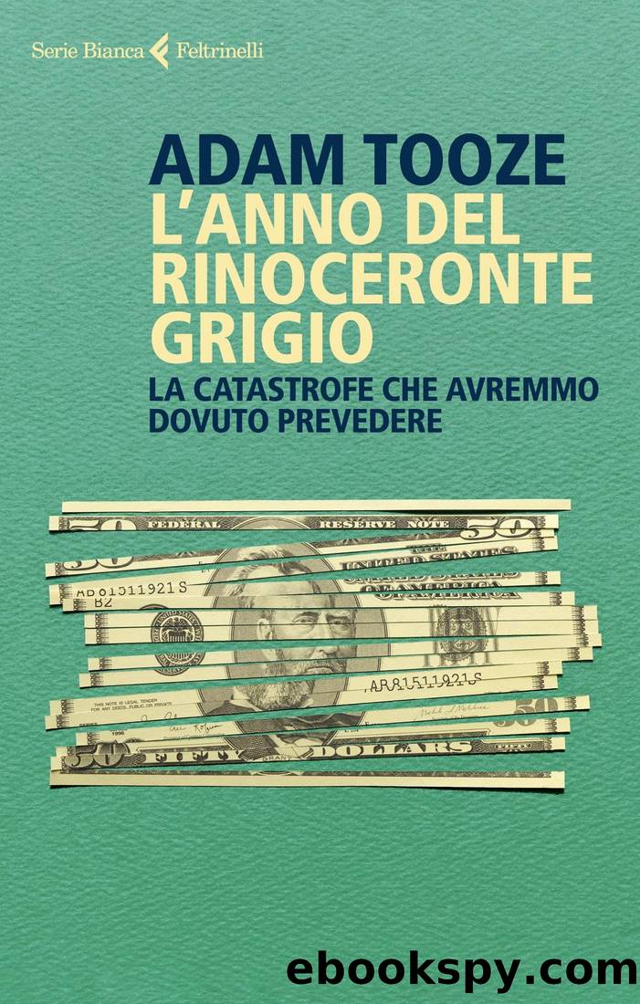 L'anno del rinoceronte grigio. La catastrofe che avremmo dovuto prevedere by Adam Tooze