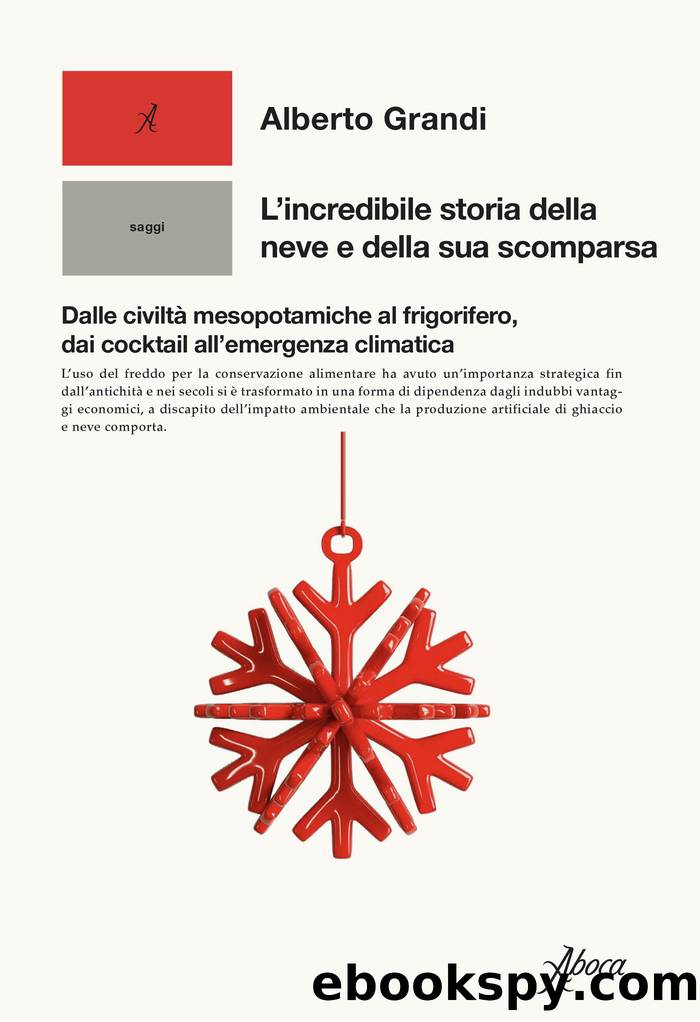 L'incredibile storia della neve e della sua scomparsa by Alberto Grandi