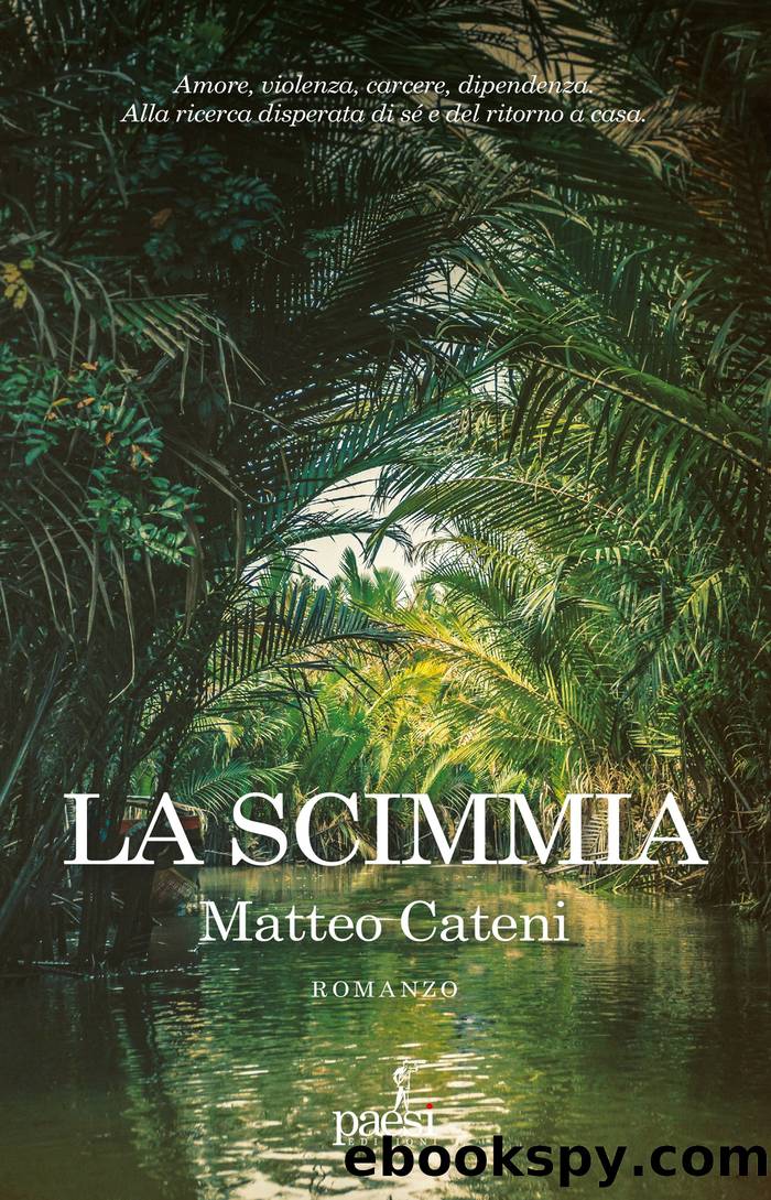 La scimmia by Matteo Cateni