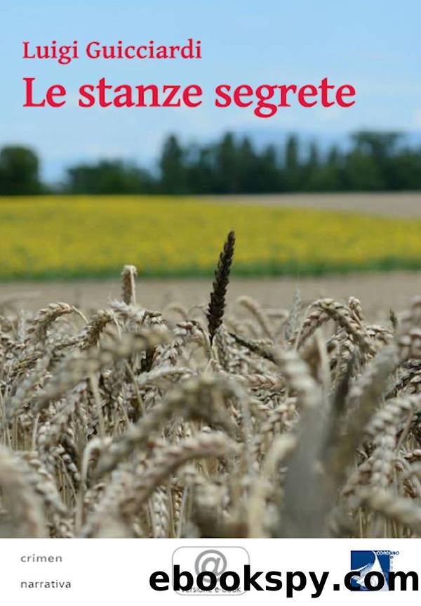 Le stanze segrete by Luigi Guicciardi