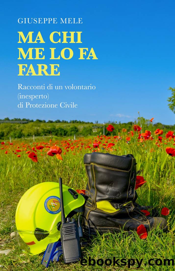 Ma chi me lo fa fare by Giuseppe Mele