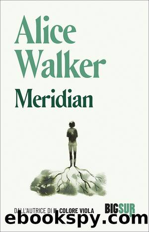 Meridian by Alice Walker
