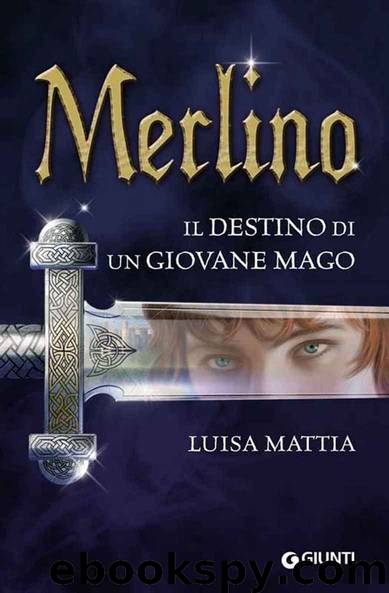 Merlino. Il destino di un giovane mago by Luisa Mattia