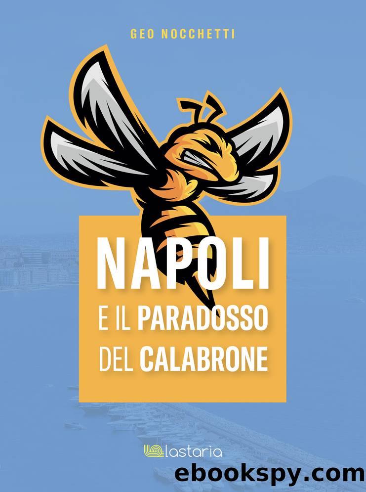 Napoli e il paradosso del calabrone by Geo Nocchetti