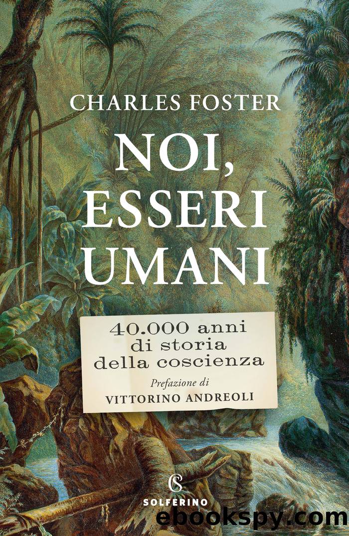 Noi, esseri umani. 40.000 anni di storia della coscienza by Charles Foster