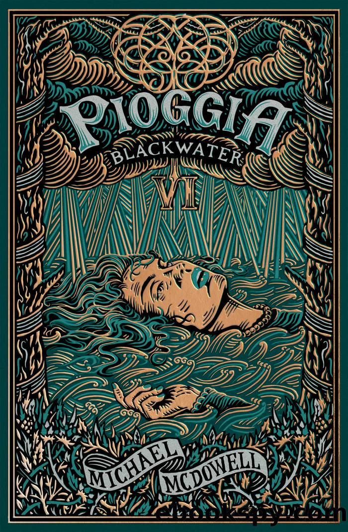 Pioggia - Blacwater VI by Michael McDowell