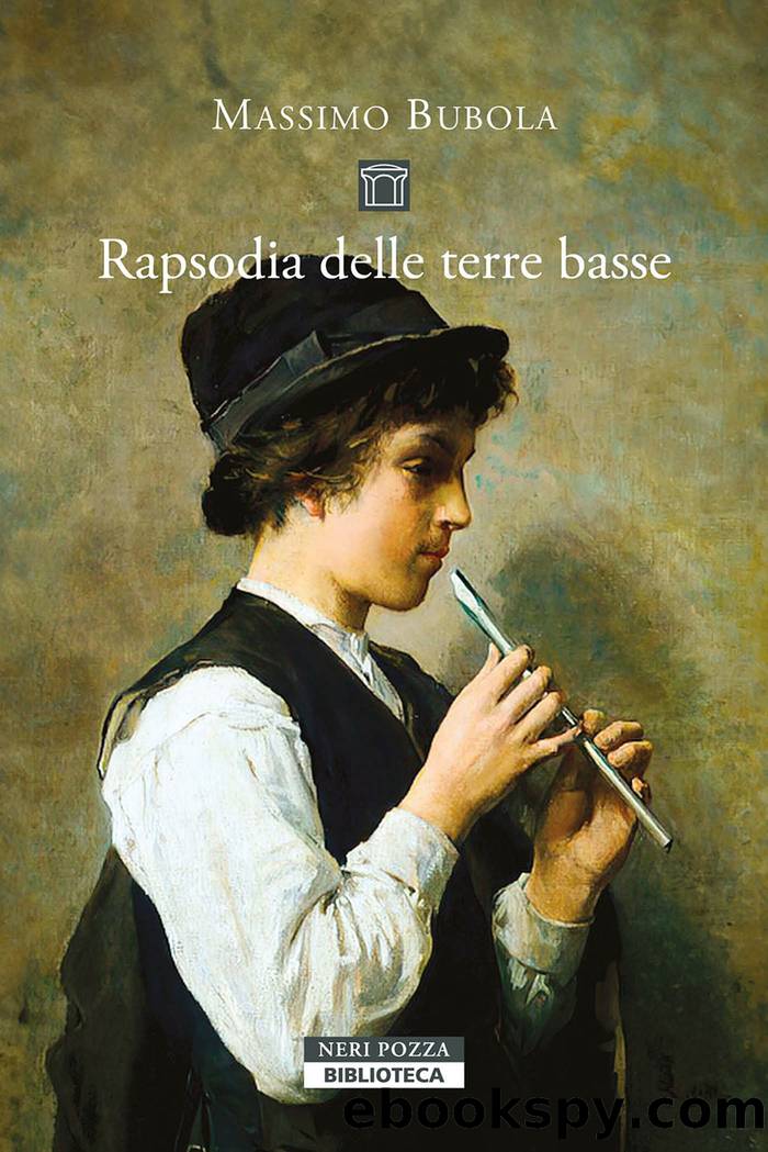 Rapsodia delle terre basse by Massimo Bubola