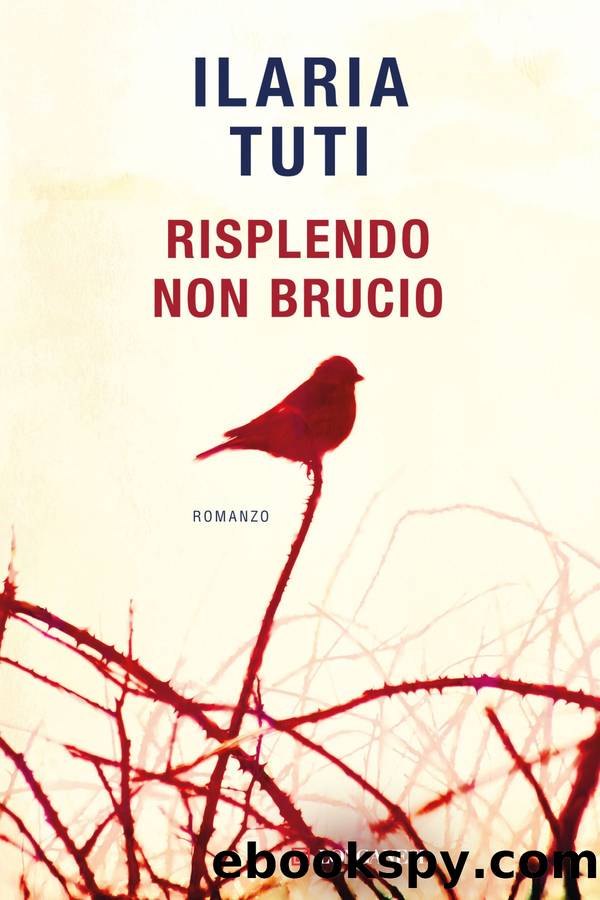 Risplendo non brucio by Ilaria Tuti