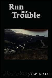 Run Into Trouble by Alan Cook