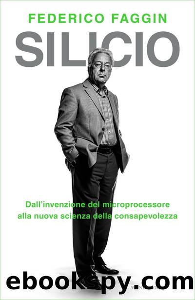 Silicio by Federico Faggin