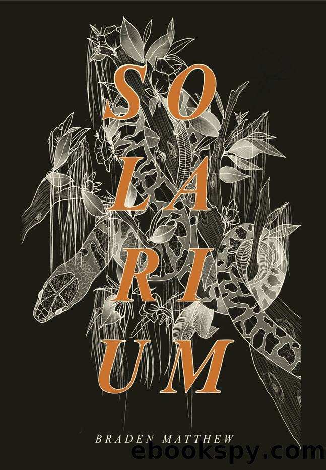 Solarium by Braden Matthew
