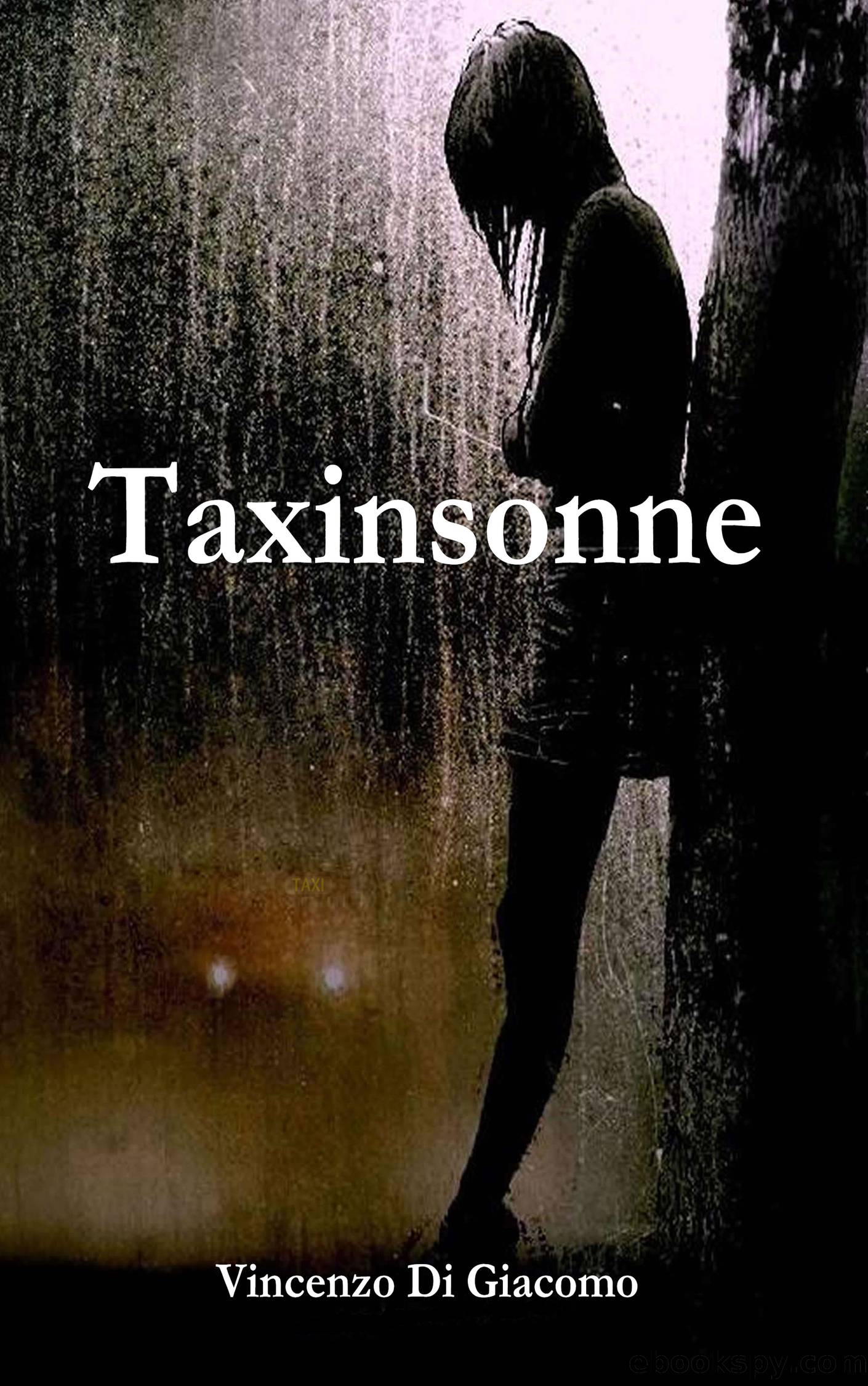 Taxinsonne by Vincenzo Di Giacomo