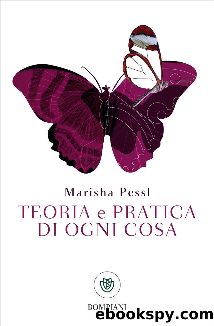 Teoria e pratica di ogni cosa by Marisha Pessl