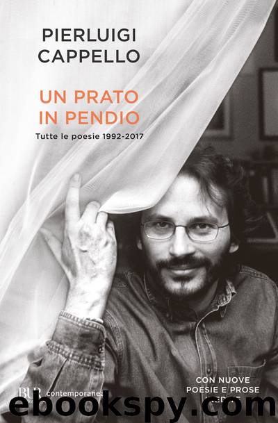 Un prato in pendio by Pierluigi Cappello