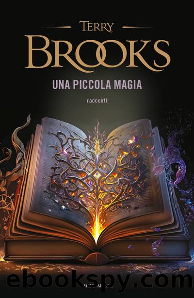 Una piccola magia by Terry Brooks