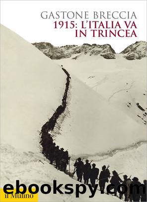 1915: l'Italia va in trincea by Gastone Breccia