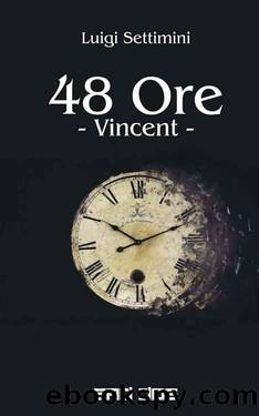 48 Ore: Vincent (Volume 1) by Luigi Settimini