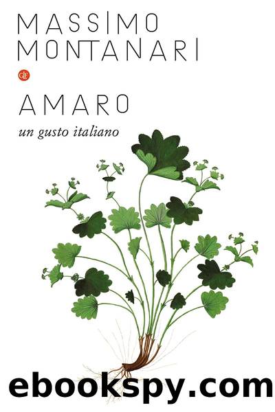 Amaro by Massimo Montanari