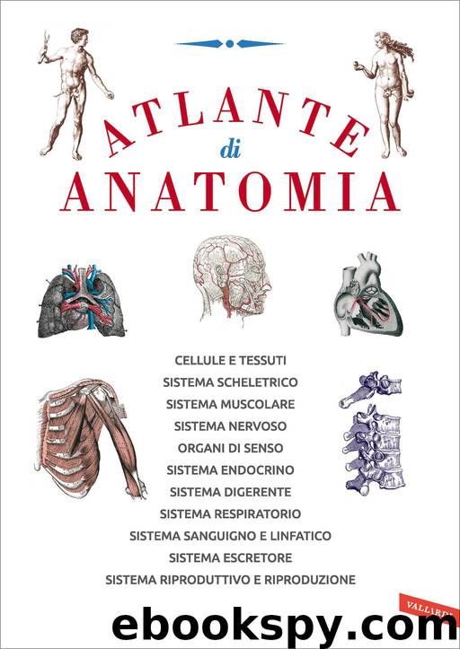 Atlante di anatomia by AA.VV