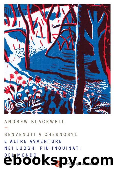 Benvenuti a Chernobyl by Andrew Blackwell